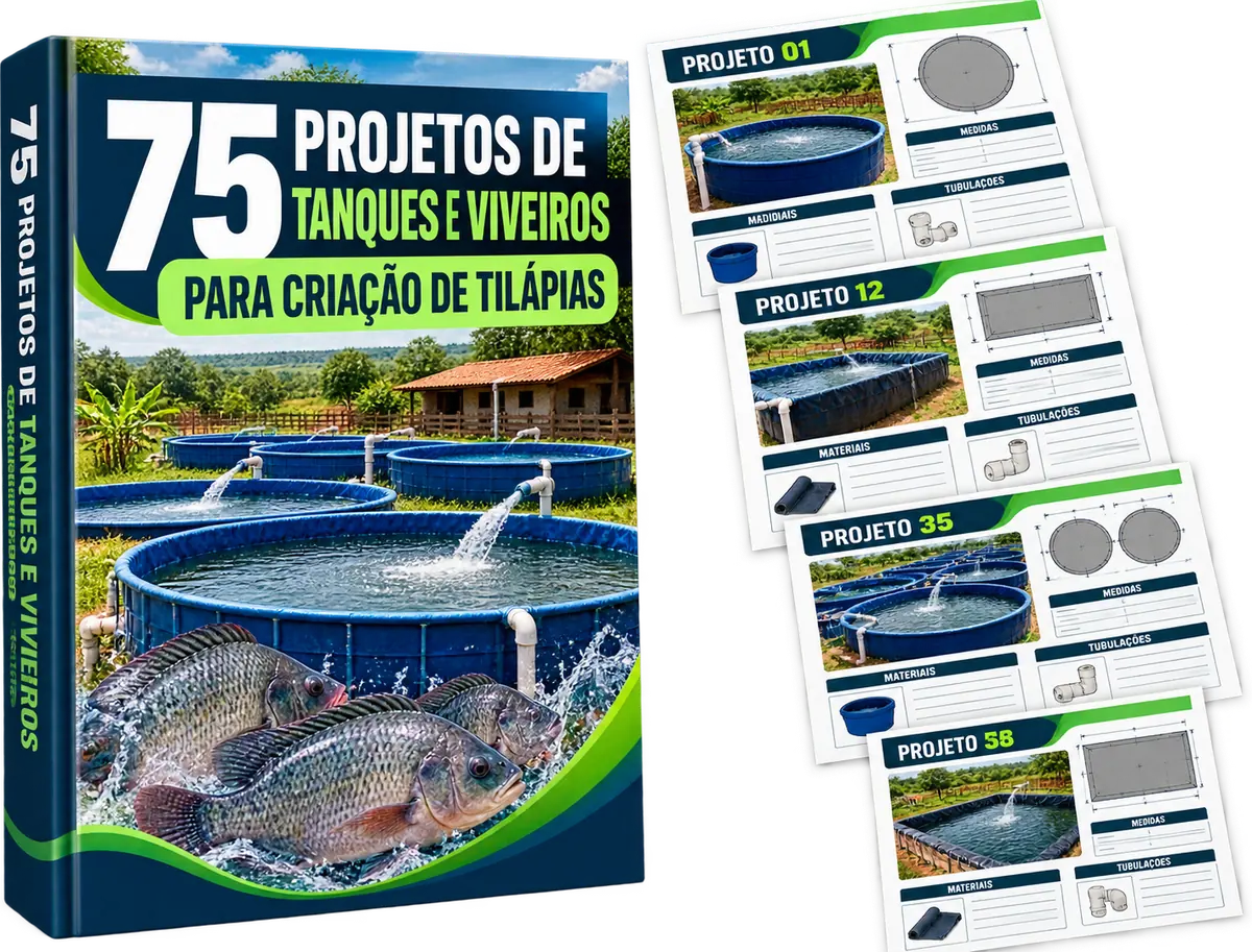 Biblioteca visual de projetos de tanques e viveiros para tilápias